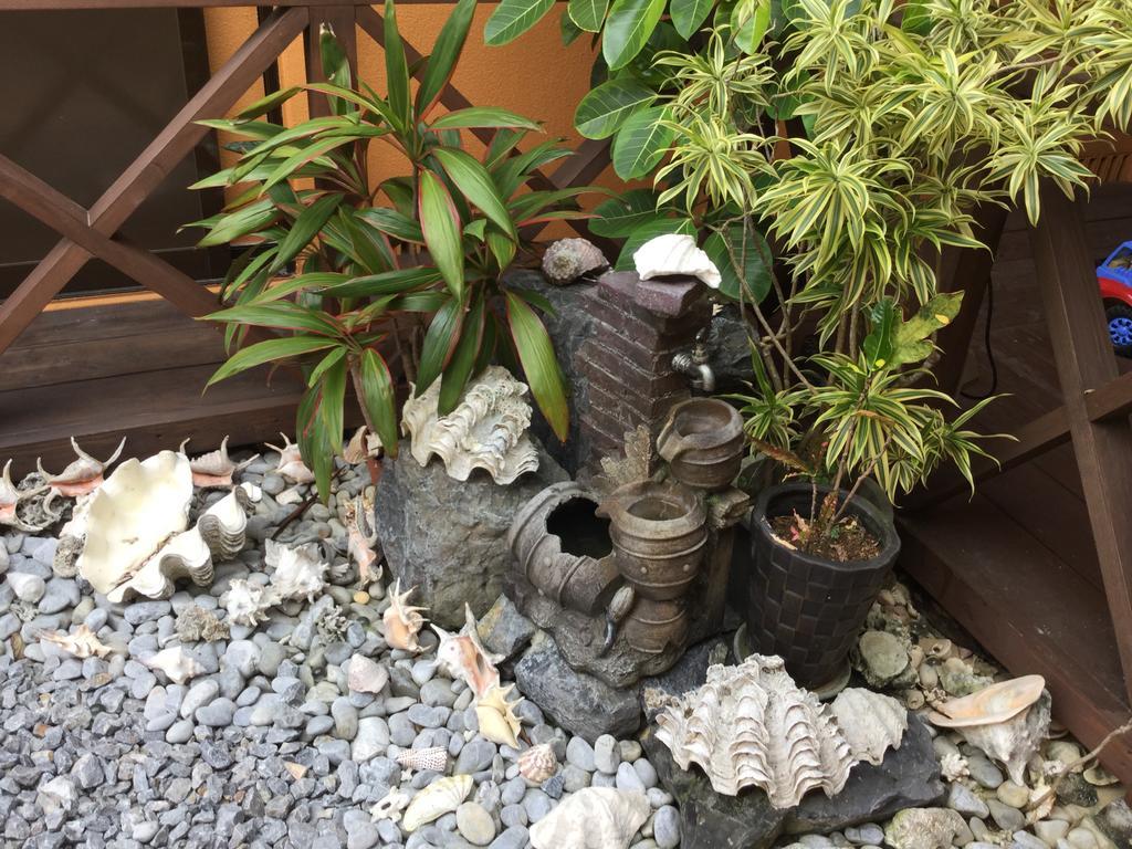 Majin No Tsubo Guest House นาคิจิน ภายนอก รูปภาพ