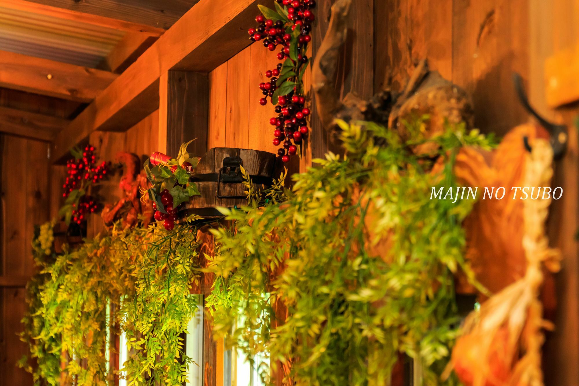 Majin No Tsubo Guest House นาคิจิน ภายนอก รูปภาพ